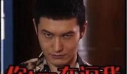 明星被爆料黑历史视频大全,视频大全背后的真相与反思